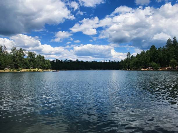 Lake Forest